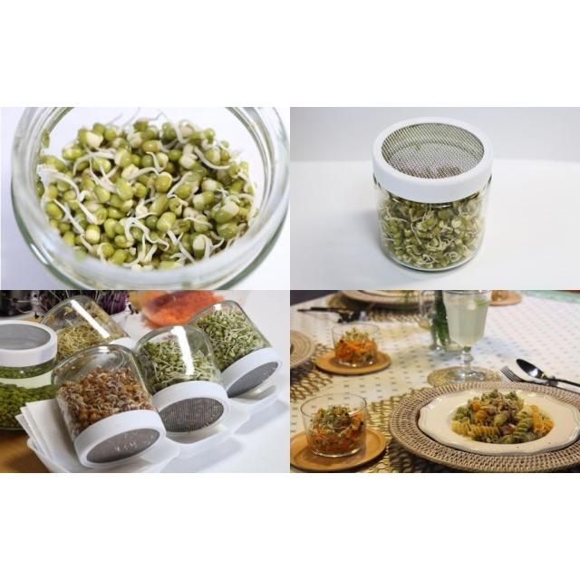 発芽豆 スプラウト栽培専用容器 専用ジャー |  | 09