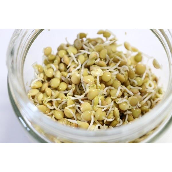 有機レンズ豆 発芽豆 発芽野菜 有機豆 2027年5月期限 |  | 01