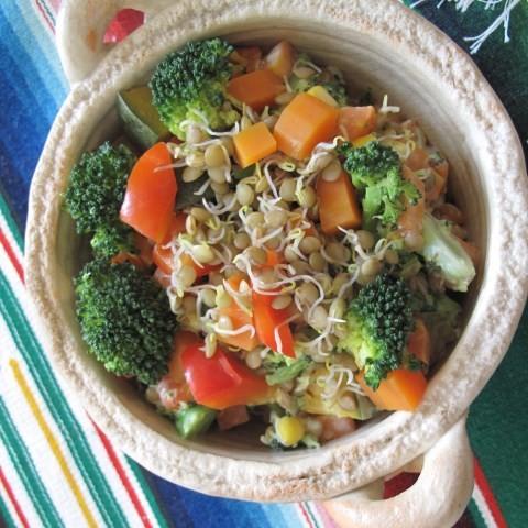 有機レンズ豆 発芽豆 発芽野菜 有機豆 2027年5月期限 |  | 02