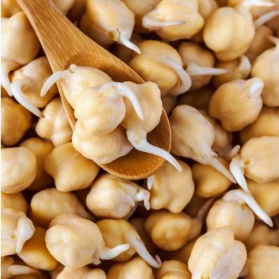 有機ひよこ豆 ガルバンゾ 発芽豆 発芽野菜 有機豆 2027年5月期限 |  | 01