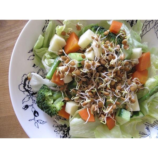 有機クリムゾンレッドレンズ豆 発芽豆 赤レンズ豆 有機豆 2027年5月期限 |  | 02