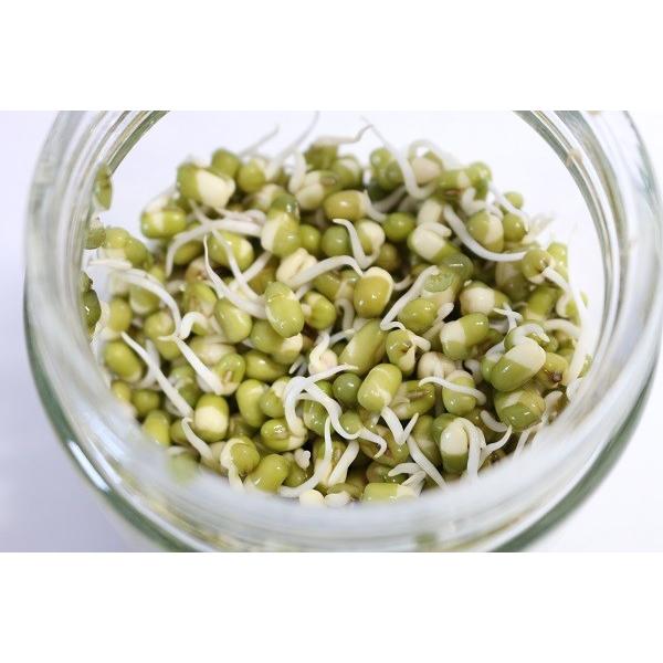 有機マングビーン 緑豆 発芽豆 発芽野菜 有機豆 110ｇ 2026年11月期限 |  | 01
