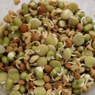 有機ミックス豆 固定種 発芽豆 発芽野菜 2026年11月期限 |  | 01