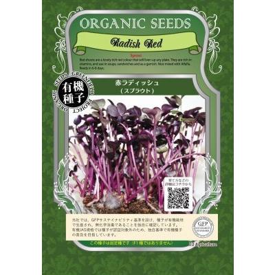 スプラウト 種 赤ラディッシュ 15g 赤かいわれ大根 有機種子 固定種 小袋 2027年5月期限 | 