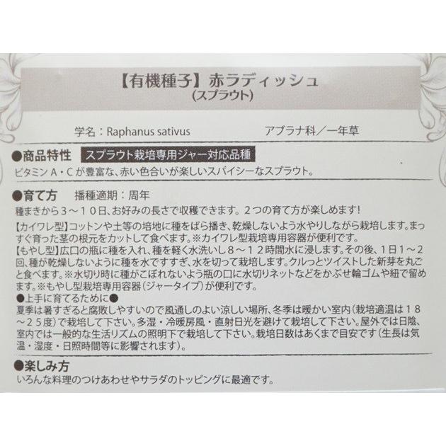 スプラウト 種 赤ラディッシュ 15g 赤かいわれ大根 有機種子 固定種 小袋 2027年5月期限 |  | 02
