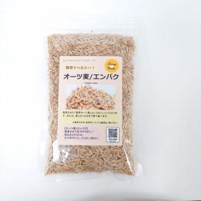 有機種子 固定種 オーツ麦 エンバク スプラウト (食用)【2024年5月期限】 :82116:Nicoco プランター菜園を楽しむ会 - 通販 - Yahoo!ショッピング 有機種子 固定種 オーツ麦 エンバク スプラウト (食用)【2024年5月期限】 :82116:Nicoco プランター菜園を楽しむ会 - 通販 - Yahoo!ショッピング
