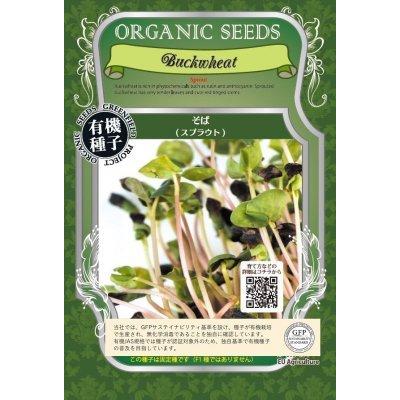スプラウト そば 15ｇ 種 有機種子 そばの芽 固定種 小袋 2026年11月期限 | 