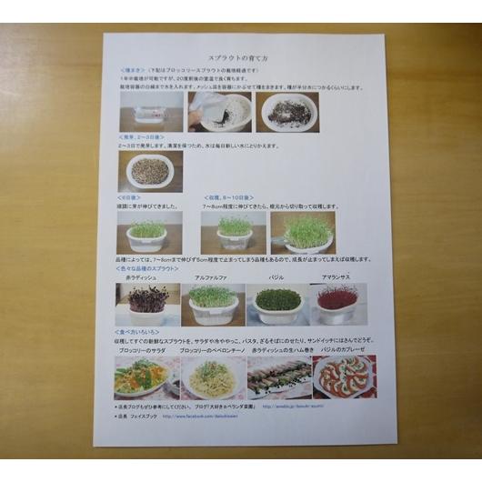 スプラウト栽培容器１個と種を３個選べるセット 送料込 2026年5月〜2026年11月期限 |  | 11