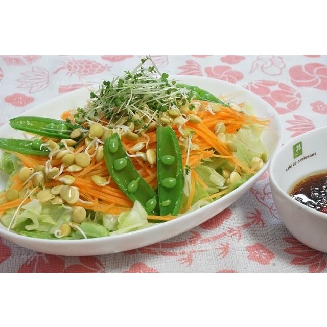 スプラウト栽培容器１個と種を３個選べるセット 送料込 2026年5月〜2026年11月期限 |  | 08