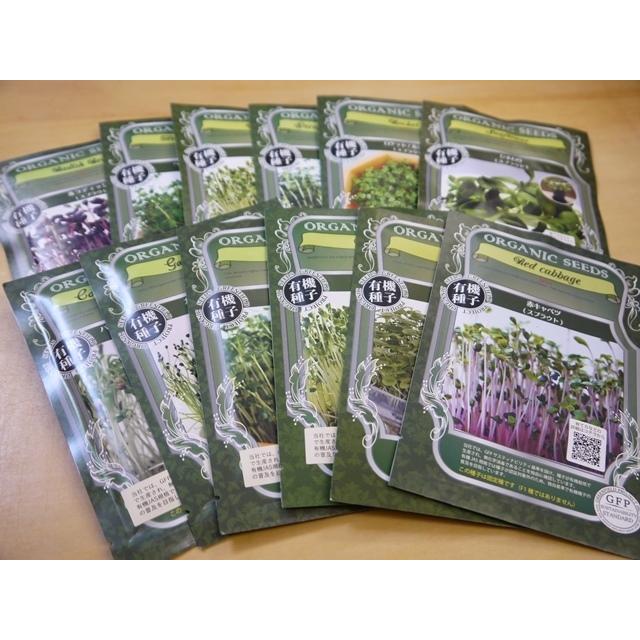 スプラウト栽培容器２個と種を５個選べるセット 送料込 2026年5月〜2026年11月期限 |  | 02