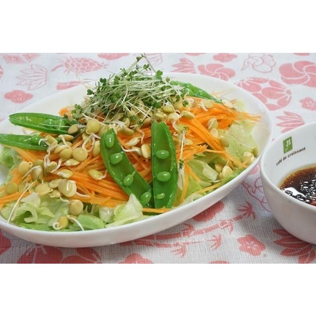 スプラウト栽培容器２個と種を５個選べるセット 送料込 2026年5月〜2026年11月期限 |  | 08