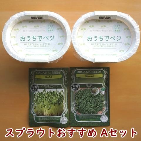 スプラウト栽培おすすめAセット 送料込 2027年11月期限 |  | 01