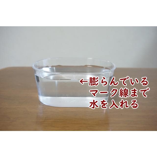 スプラウト栽培おすすめAセット 送料込 2027年11月期限 |  | 07