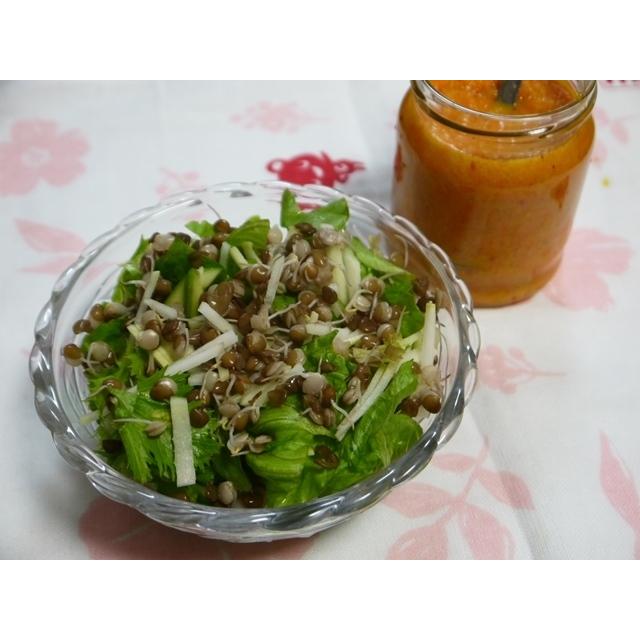 発芽豆栽培スタートセット 専用容器１個と発芽豆２個を選べるセット 送料込 2026年11月〜2027年11月期限 |  | 10