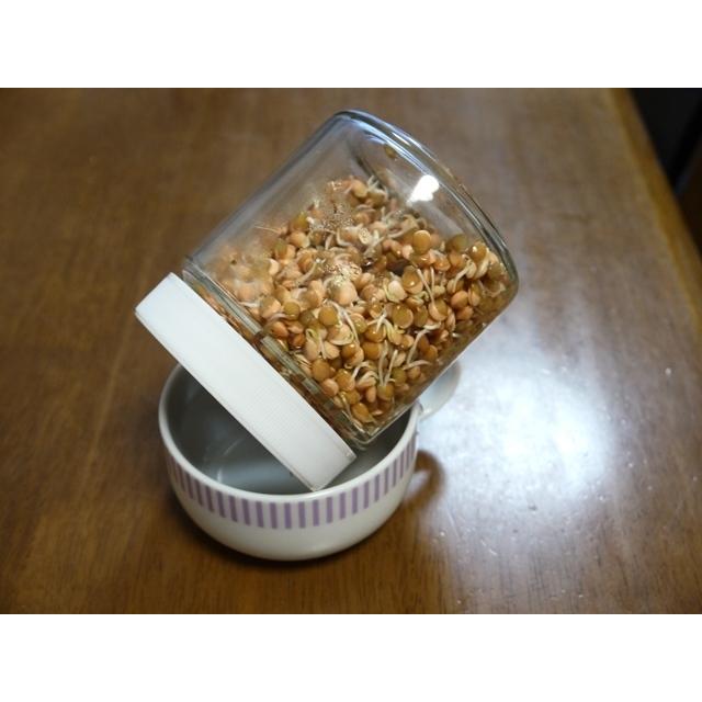 発芽豆栽培スタートセット 専用容器１個と発芽豆２個を選べるセット 送料込 2026年11月〜2027年11月期限 |  | 02