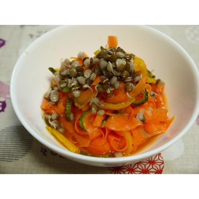 発芽豆栽培スタートセット 専用容器１個と発芽豆２個を選べるセット 送料込 2026年11月〜2027年11月期限 |  | 07