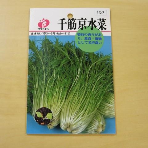 固定種 千筋京水菜 種 水菜 ミズナ 種子 追跡可能メール便 Nicoco プランター菜園を楽しむ会 通販 Yahoo ショッピング