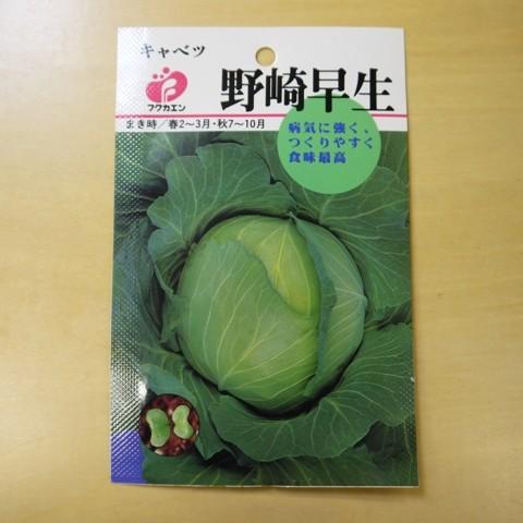 固定種 キャベツ 野崎早生 種 種子 追跡可能メール便 Nicoco プランター菜園を楽しむ会 通販 Yahoo ショッピング