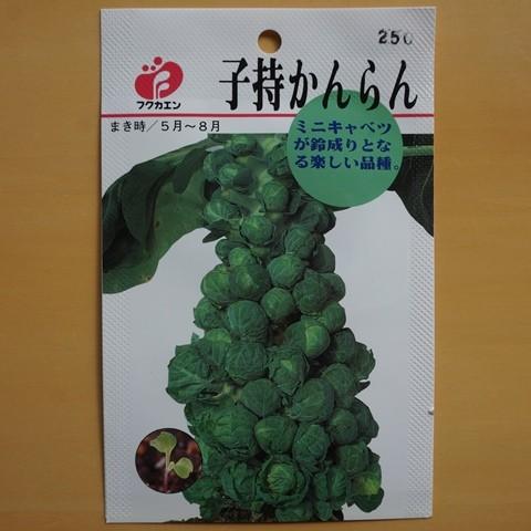 固定種 芽キャベツ 子持かんらん 種 種子 追跡可能メール便 Nicoco プランター菜園を楽しむ会 通販 Yahoo ショッピング