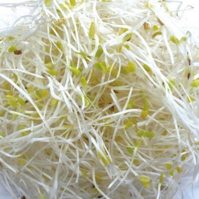 スプラウト 種 アルファルファ 50g 有機種子 固定種 中袋 2026年11月期限 |  | 01