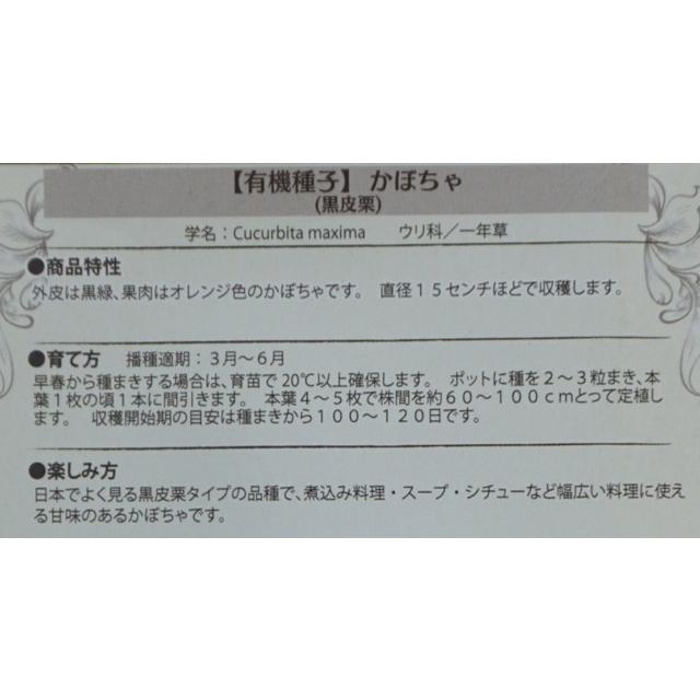 有機種子 固定種 かぼちゃ 種 黒皮栗 カボチャ 大袋お取り寄せ |  | 02