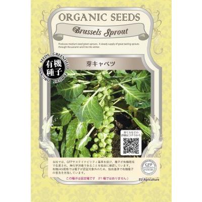 有機種子 固定種 芽キャベツ 種 種子 芽きゃべつ 20ml 大袋お取り寄せ | 