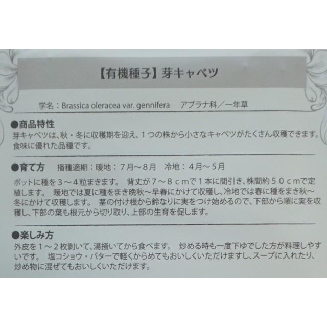 有機種子 固定種 芽キャベツ 種 種子 芽きゃべつ 20ml 大袋お取り寄せ |  | 02
