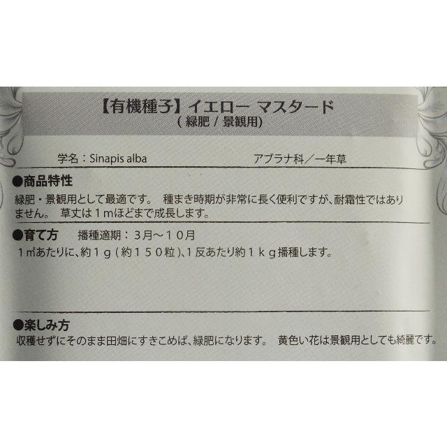 有機種子 固定種 イエローマスタード 900g　種 緑肥/景観用 大袋お取り寄せ |  | 01