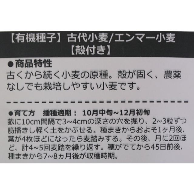 有機種子 固定種 古代小麦 エンマー小麦 殻付き 100ｇ 中袋お取り寄せ |  | 02