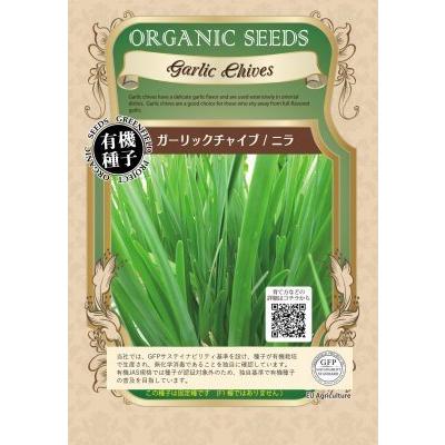 有機種子 固定種 ガーリックチャイブ ニラ 50ml 種 ハーブ 大袋お取り寄せ 414 Nicoco プランター菜園を楽しむ会 通販 Yahoo ショッピング