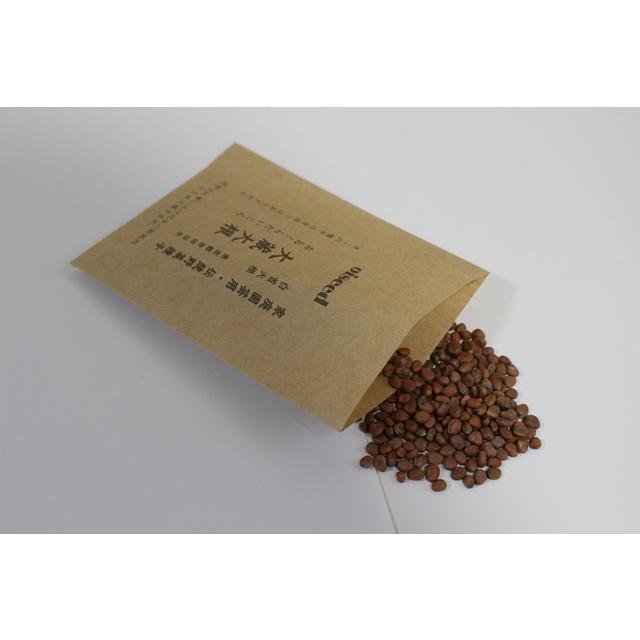 伝統野菜種子 大蔵大根 固定種 5ｍｌ 種 東京都世田谷区 在来種 2026年3月期限 | 