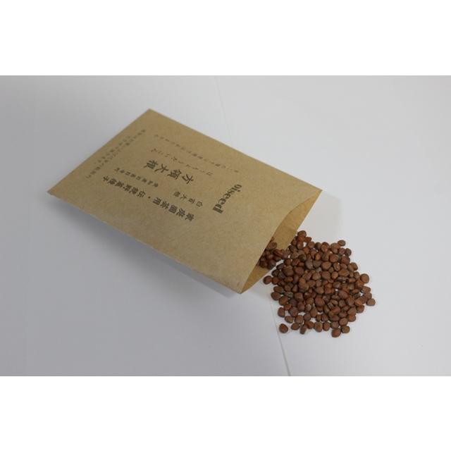 伝統野菜種子 方領大根 固定種 5ｍｌ 種 愛知県旧甚目寺町 在来種 2026年5月期限 | 