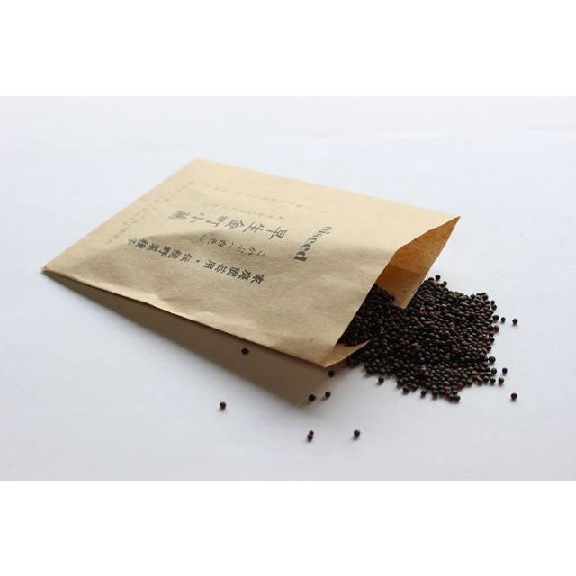 伝統野菜種子 早生金町小かぶ 固定種 5ｍｌ 種 東京都葛飾区金町 在来種 2026年3月期限 | 