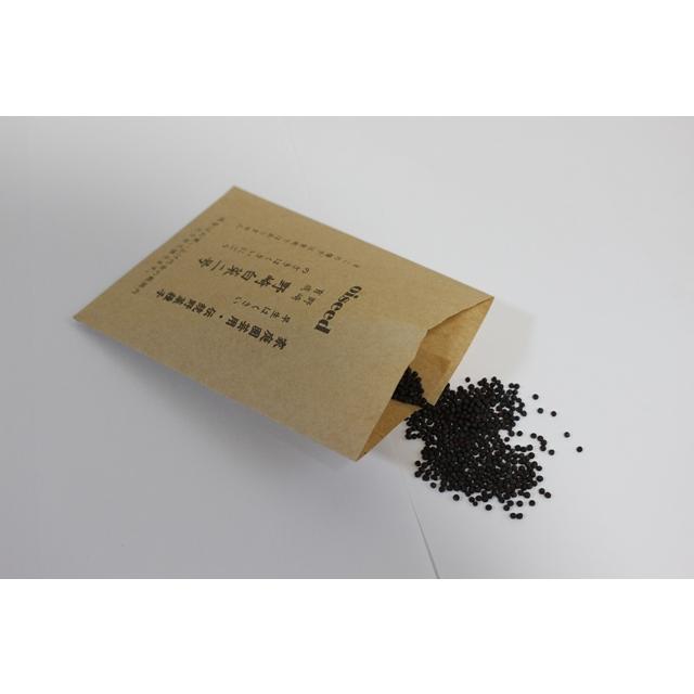 伝統野菜種子 野崎白菜二号 固定種 5ｍｌ 種 愛知県 在来種 2027年6月期限 | 