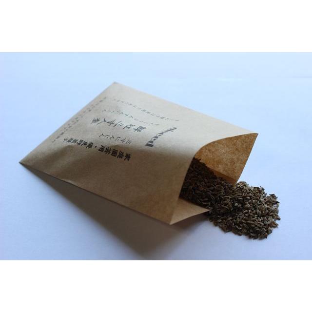 伝統野菜種子 鮮紅三寸人参 固定種 4ｍｌ 種 在来種 2026年9月期限 | 