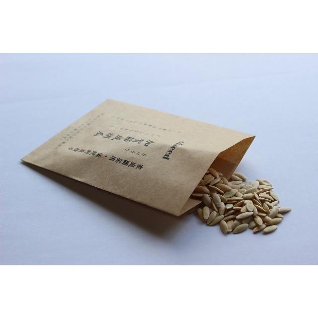 伝統野菜種子 加賀節成胡瓜 きゅうり 固定種 1ｍｌ 種 石川県加賀地方 在来種 2026年12月期限 | 