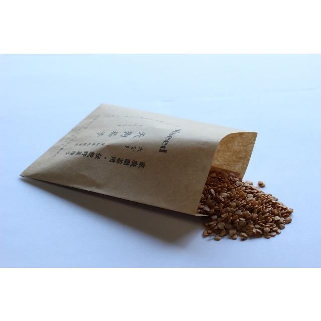 伝統野菜種子 天狗茄子 なす 固定種 0.25ｍｌ 種 愛知県北設楽郡 在来種 2026年9月期限 | 