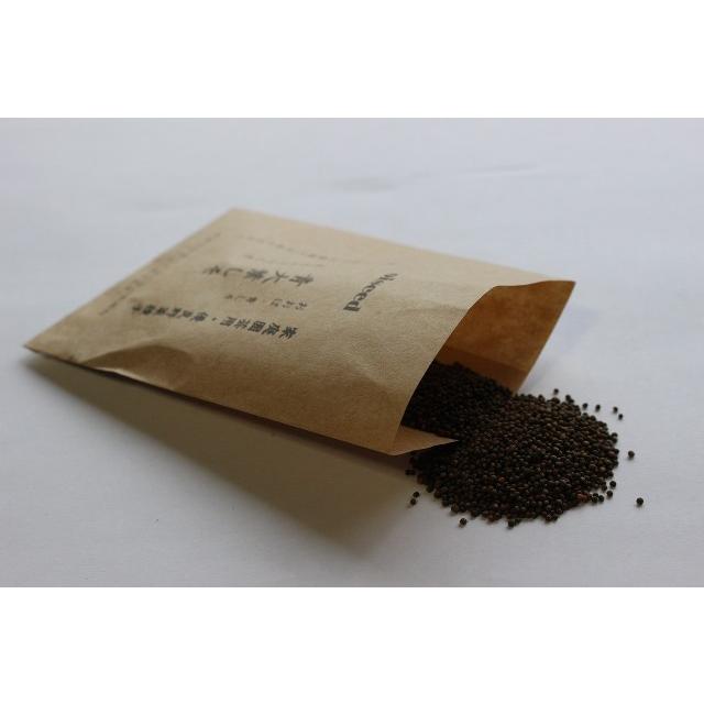 伝統野菜種子 青大葉しそ 固定種 4ｍｌ 種 在来種 2026年11月期限 | 