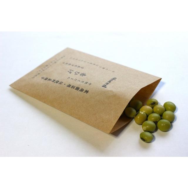 伝統野菜種子 赤ひげ枝豆 えだまめ 固定種 20ｍｌ 種 青森県津軽地方 在来種 2026年12月期限 | 