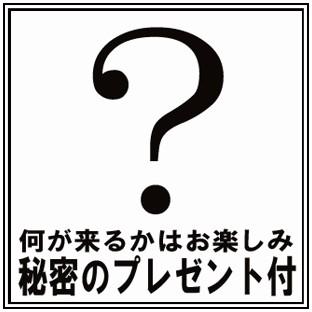 A731送料無料おすましぷーちゃんセミサークルショルダーおすましプーちゃん猫のプーちゃんセミサークルショルダー小猫耳｜nicolife｜02