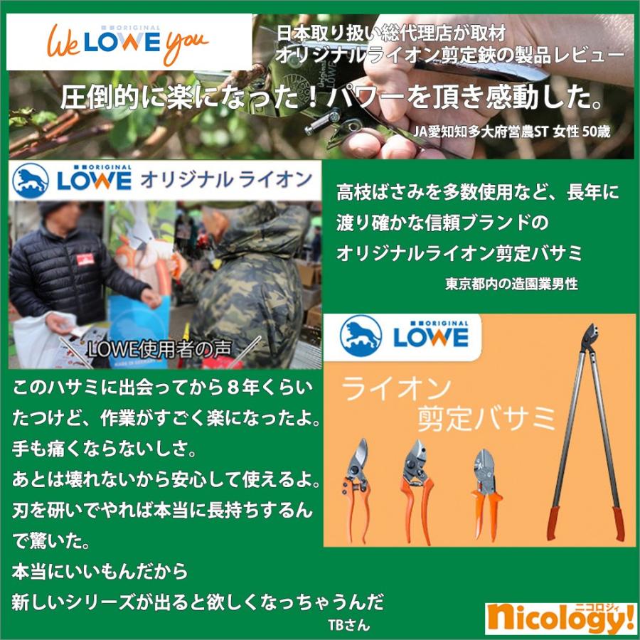LOWE  オリジナルライオンバサミ 20080アンビル構造 DIY 高枝 高所 太枝長さ80cm 切断径直径45mm 重量1090g 剪定鋏 植木鋏 盆栽鋏 軽量 防錆処理 全国送料無料_6
