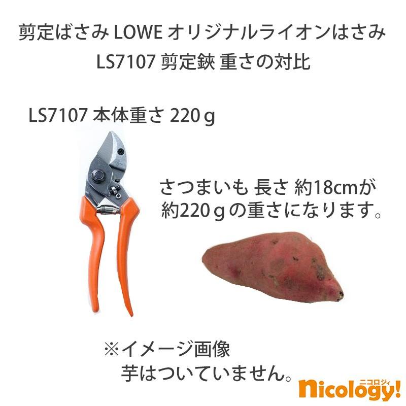 LOWE オリジナルライオン剪定バサミ 7107 アンビル バイパス 軽量 DIY 植木鋏 農業 園芸 重量230g 切断径直径22mm 金属ブレード インダストリアル 完全分解可能_7