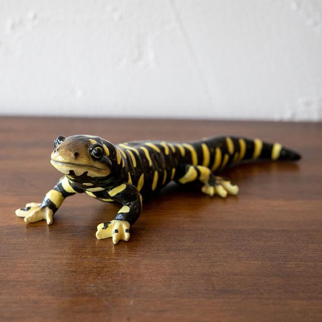 サラマンダーさんマグネット | ニコノマニマニ雑貨店公式ブログ