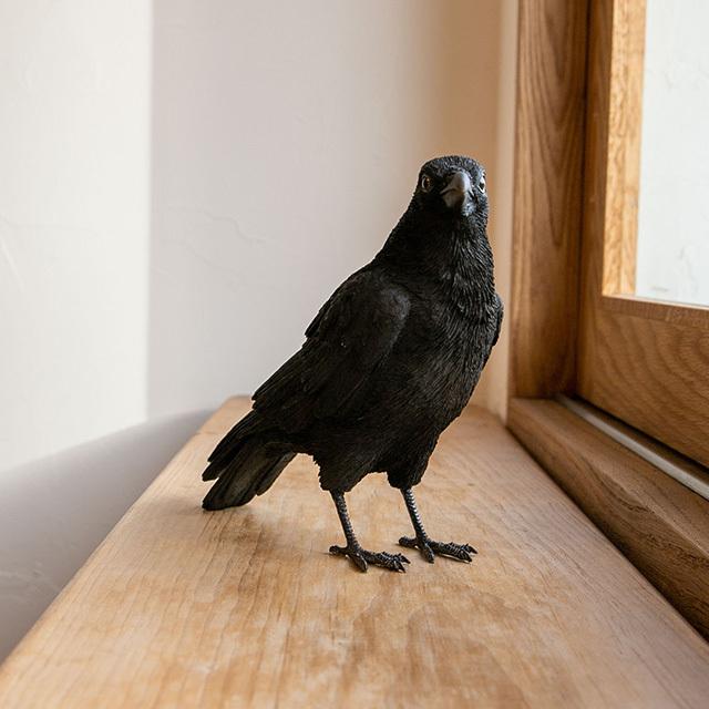 PET BANK ペットバンク　CARRION CROW　カラス　リアルな動物の貯金箱　｜niconomanimani｜02