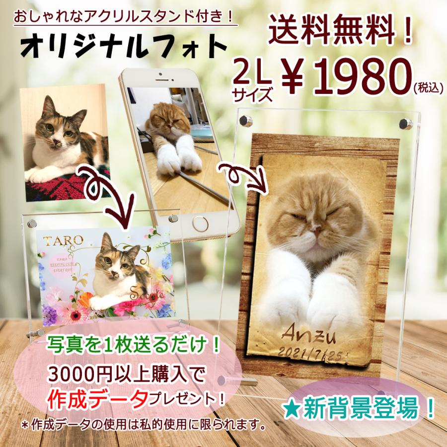 2lサイズ オリジナル 写真立て 写真入りプレゼント 名前入り ペット 家族 フォト おしゃれ アクリル プレゼント メモリアル 遺影 ペットグッズ Ni 0001 2l にっこりペット写真館 通販 Yahoo ショッピング