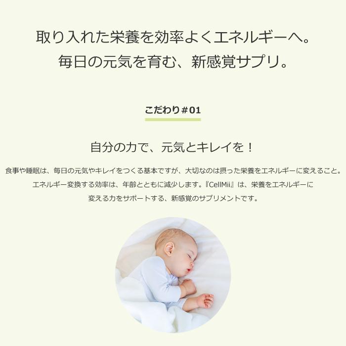公式 Cellmii セルミー サプリメント オリーブ 美容 在庫限り オリーブオイル オレアノール酸 送料無料 コエンザイムq10
