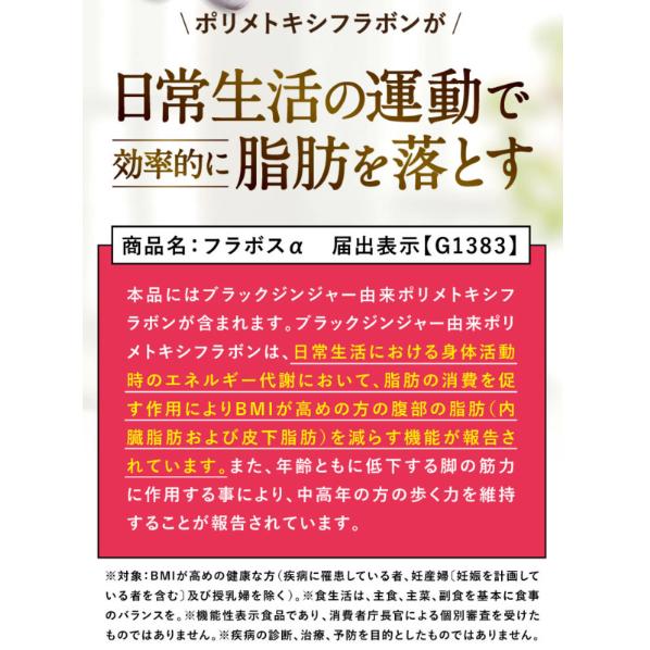 公式 フラボス FLAVOS 2袋 ニコリオ ブラックジンジャー サプリ