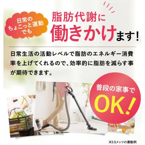 ニコリオ フラボス 3袋 ポイント10倍＋5%OFFクーポン】公式 フラボス FLAVOS 3袋 ニコリオ