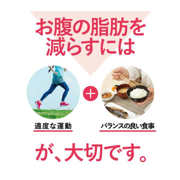 ポイント10倍＋5%OFFクーポン】公式 フラボス FLAVOS 3袋 ニコリオ