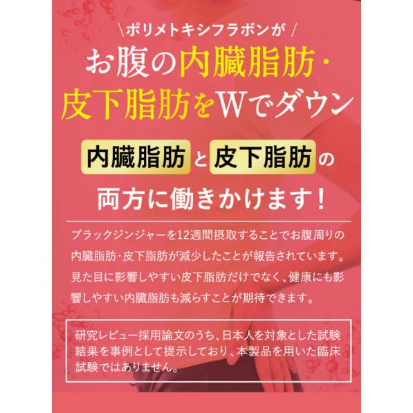 【 新品 ☆ 未開封 】 フラボス　ニコリオ　31粒　3袋　ブラックジンジャー 公式 フラボス FLAVOS 3袋 ニコリオ ブラックジンジャー サプリ